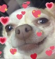 b0b4209f-d9e8-4ecb-aae3-5973bc052e55