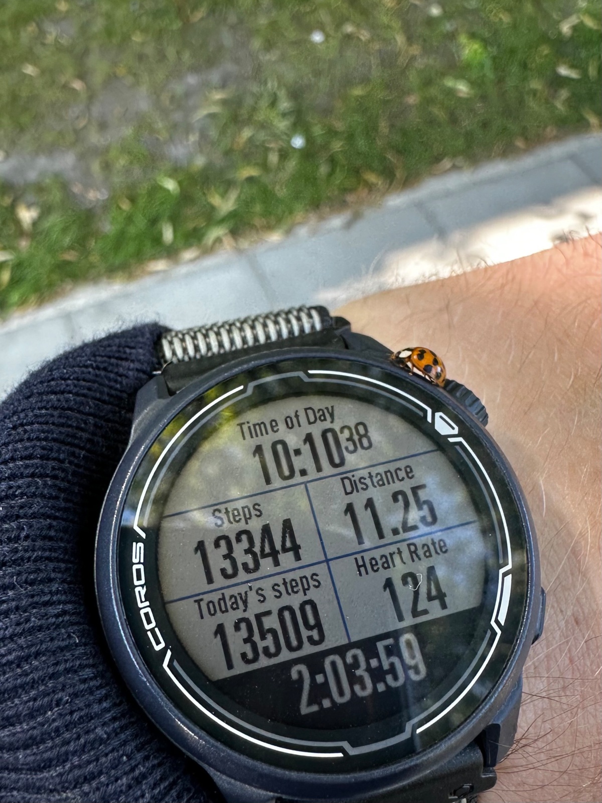 6e8b098c-432e-4bf0-9825-0d43252edcf5