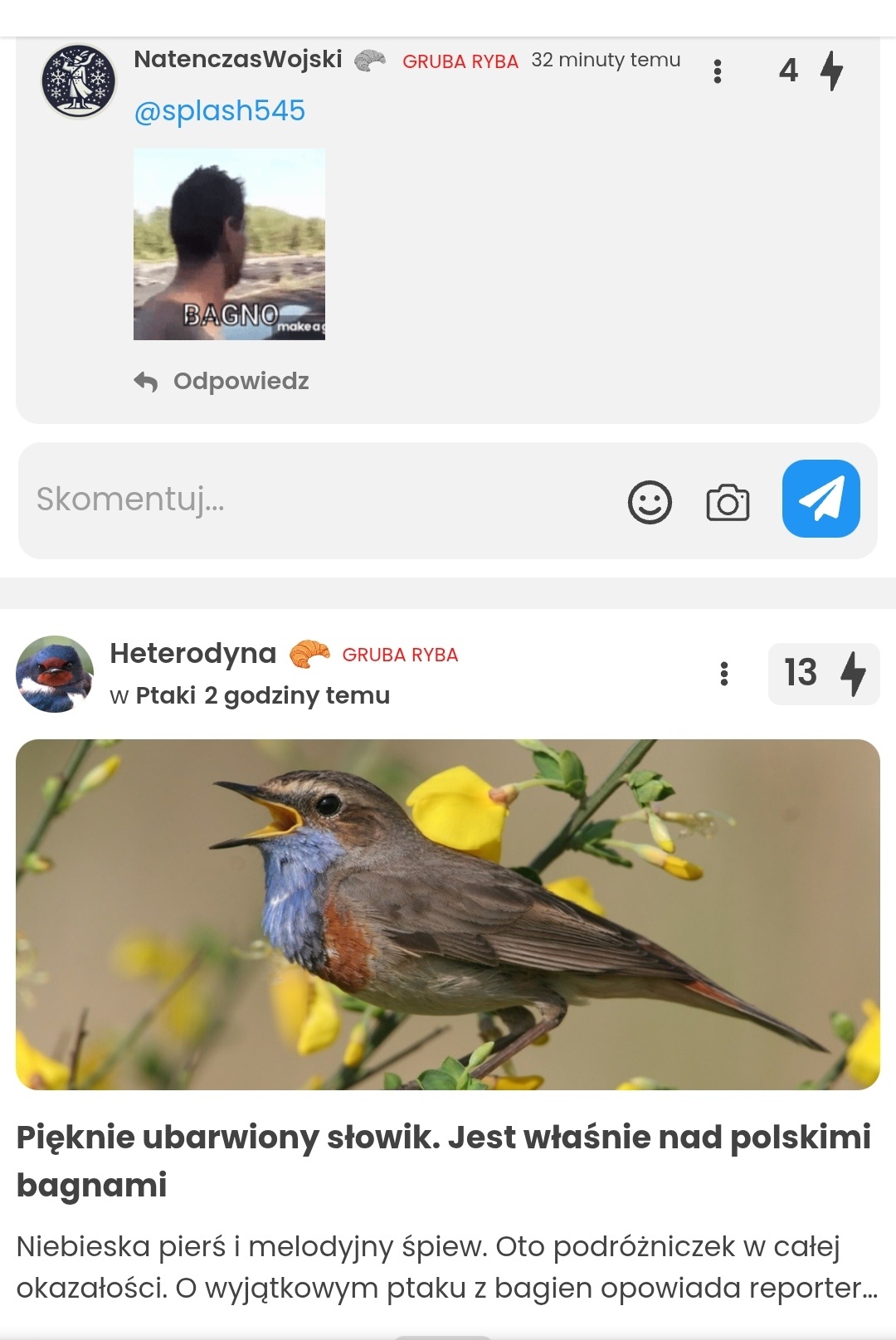 71f3c71c-8fc2-4a18-aede-de9a9cd9b292