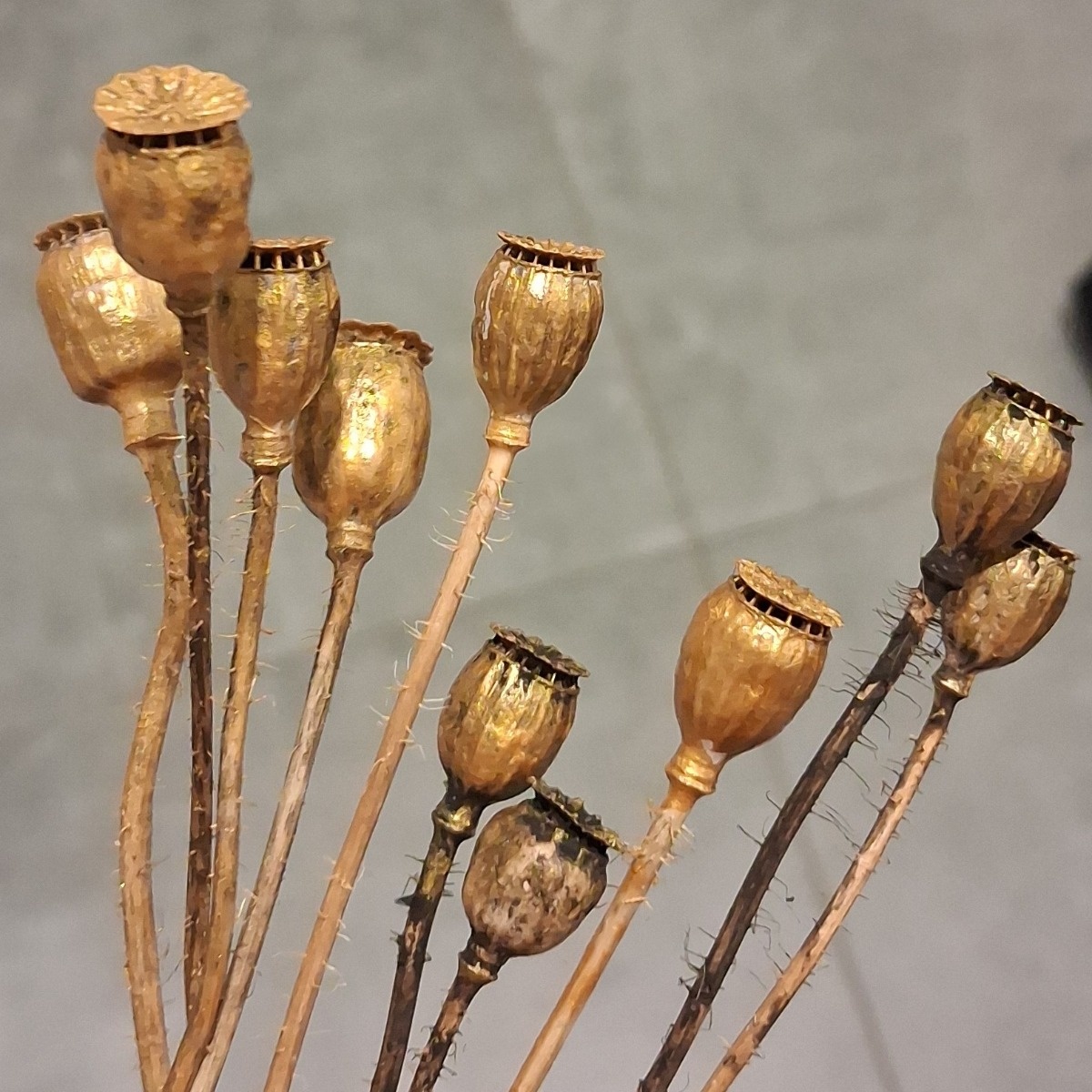 405ba79c-cd9d-4cdd-a245-72ff8f85e07f