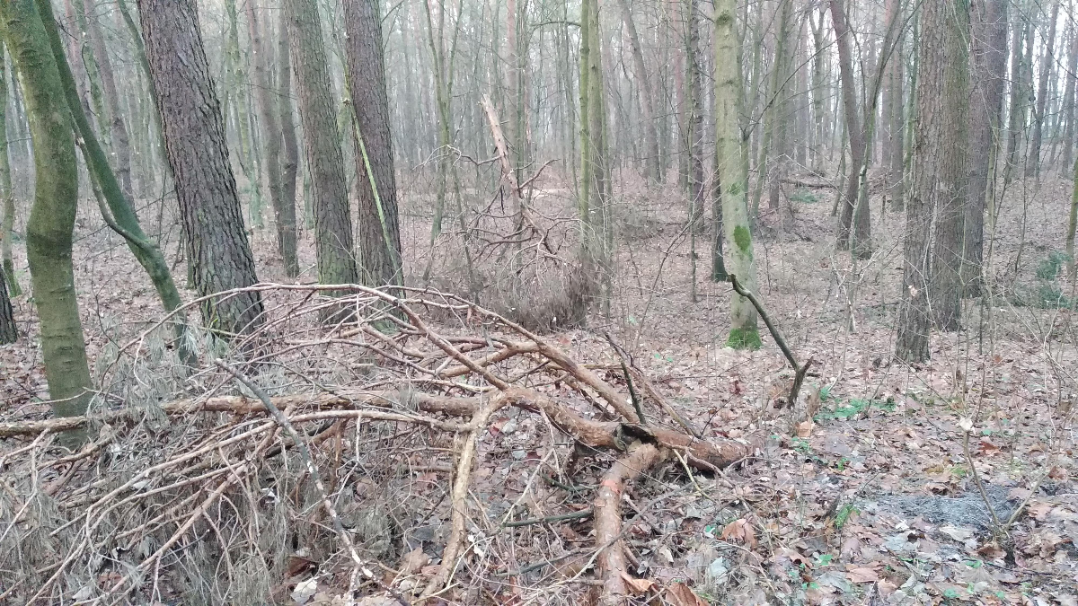 08e4f427-4ff0-4695-afb3-ab18824ee2e2