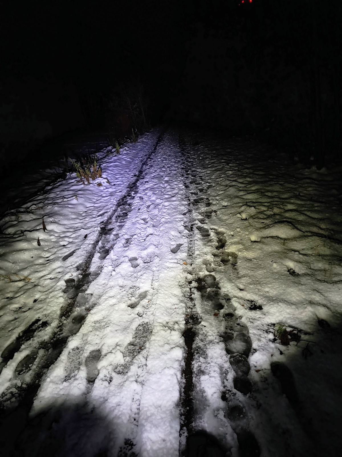 70871491-aed7-4629-8665-4fb881121214