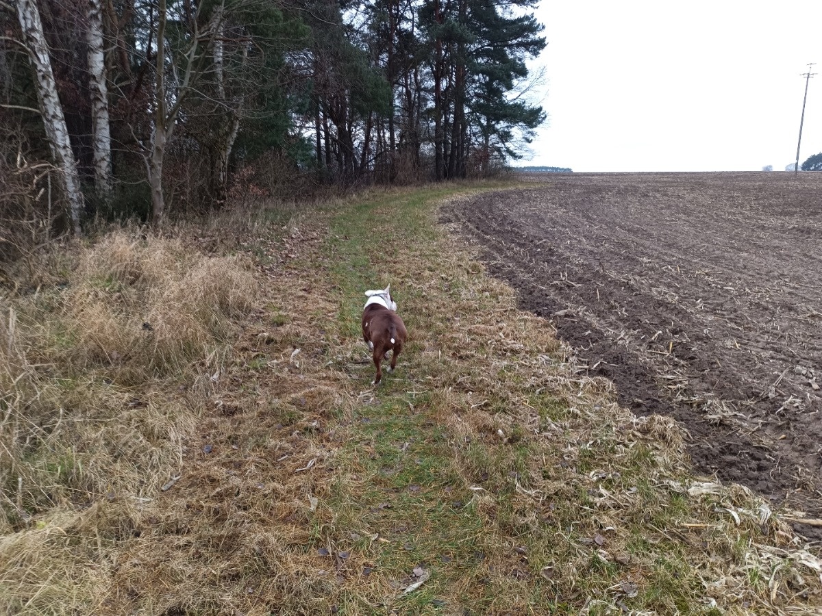 14afa9b1-7aa6-4d70-a14b-736585947efa