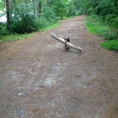 d7f8a3b0-5bf4-4d85-8942-4a2271723619