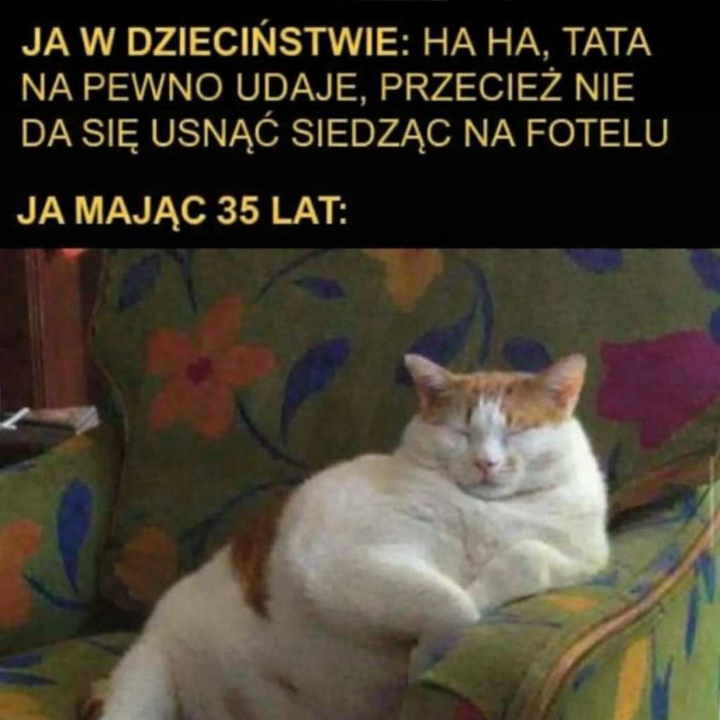 bdb74edf-6681-47f3-bd8a-b3ee70a8b76d