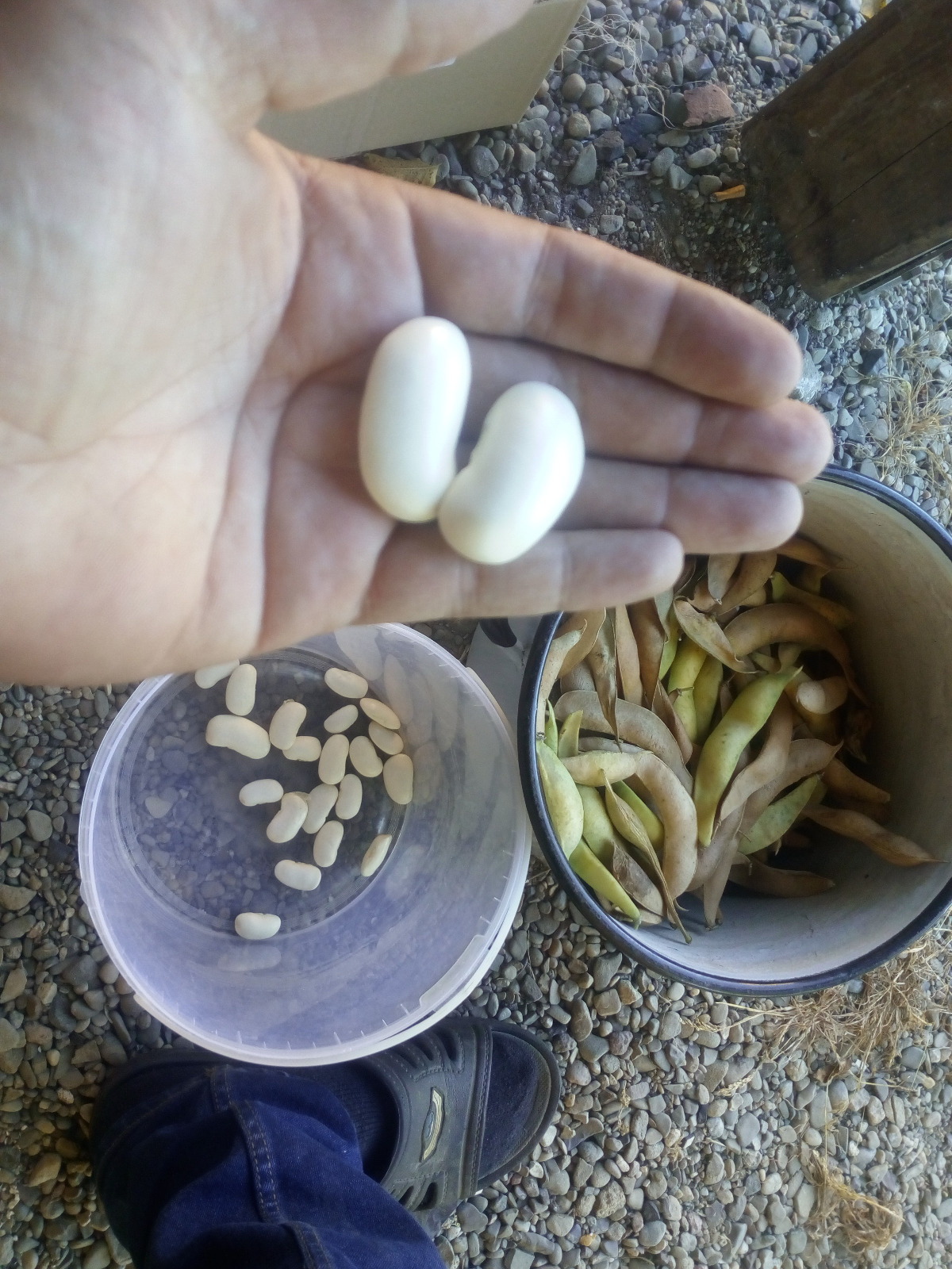 ee7d6d91-a6cf-4504-a92c-66c3467a8d7b