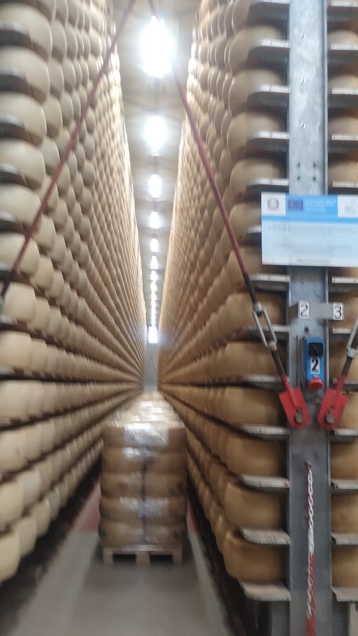 c14f99b9-a4b7-4f82-9557-ead8cda68330