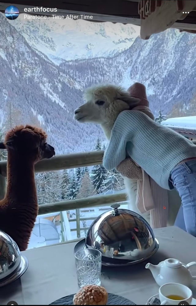 684c5b55-b1d7-4400-869c-878991727f72