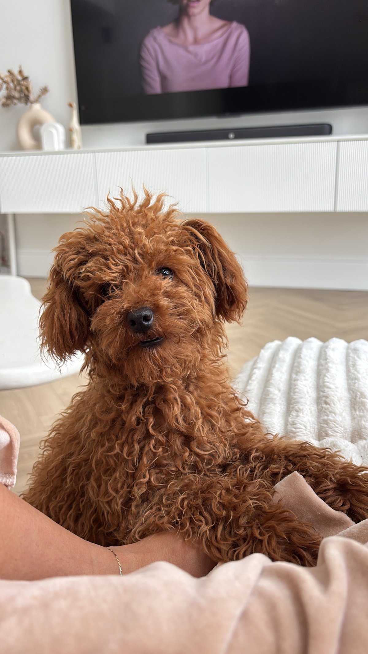 3dfa1c1b-66a6-4360-95d3-b8fa408d0270