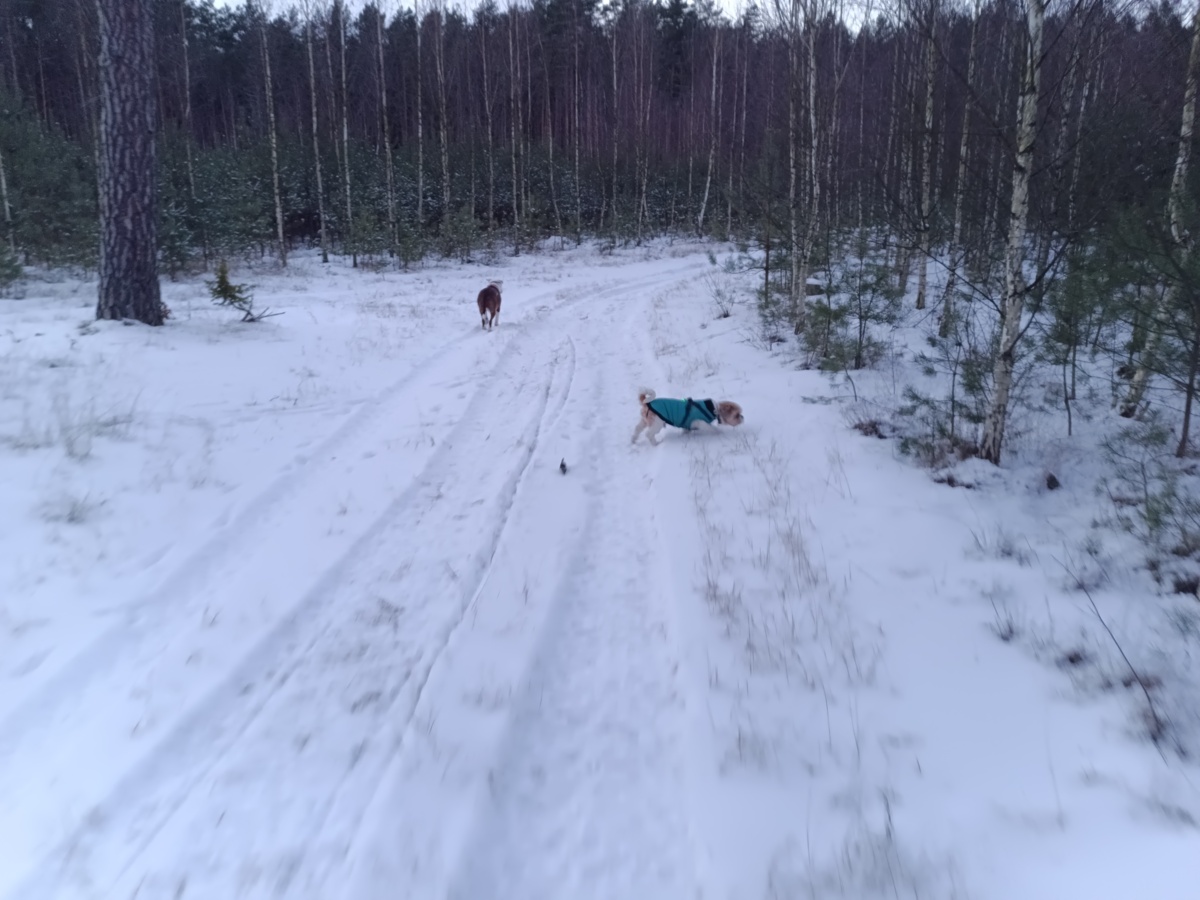 6ac4c77b-017e-4757-be50-1aafa3751e87