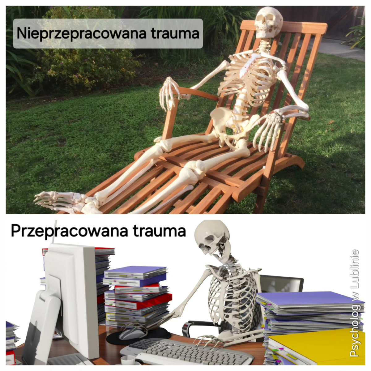 55eccc61-c173-4a40-b7e2-a75792376184