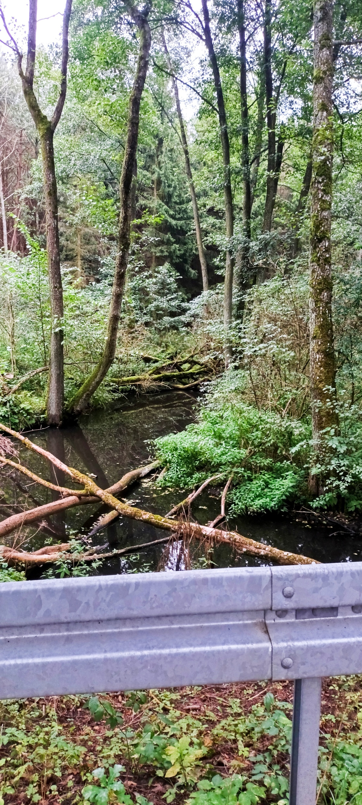 fe56ff43-efcc-44a7-8209-b5985ea76b21