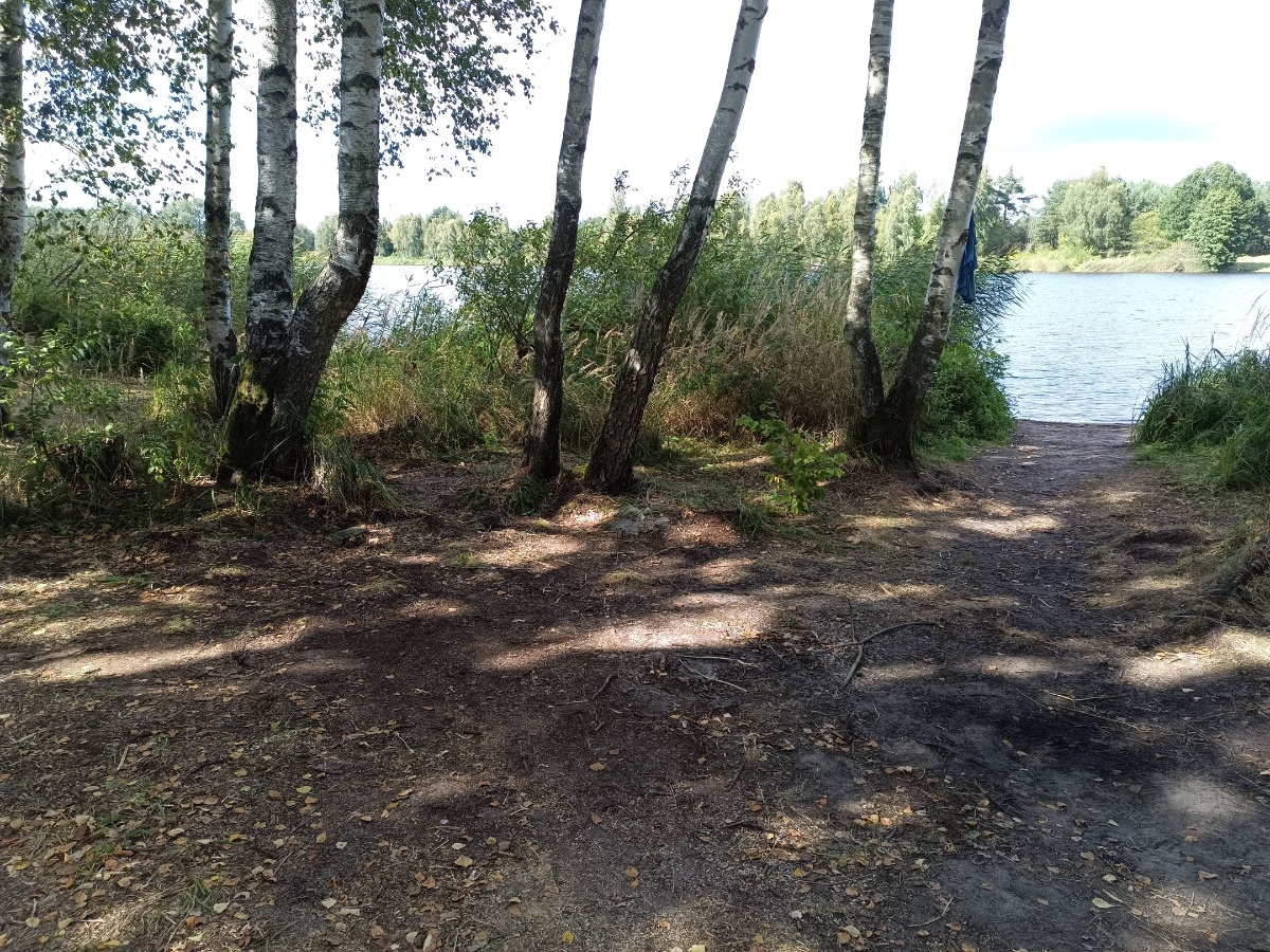 89ce2a25-5129-4286-b700-8c6179f8b942