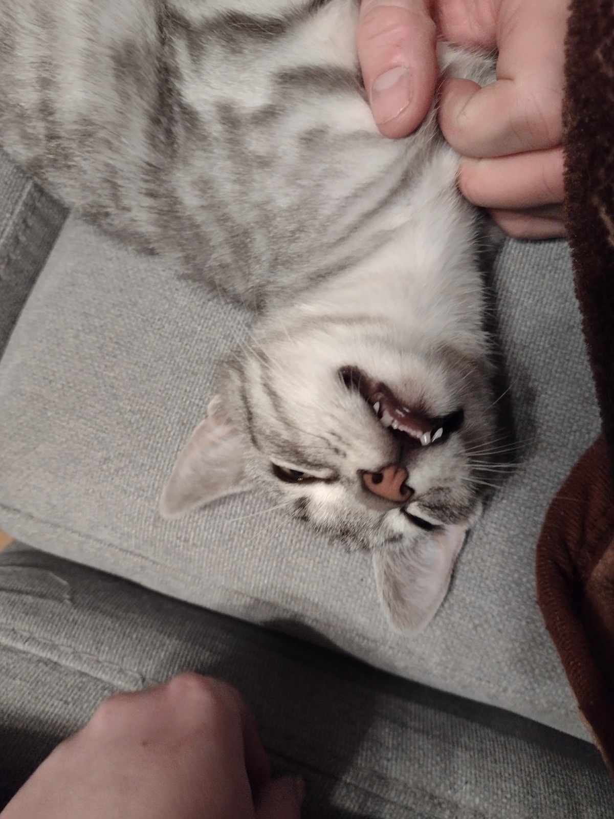 25d18e27-e1b1-4b99-9864-efa8a065ce43