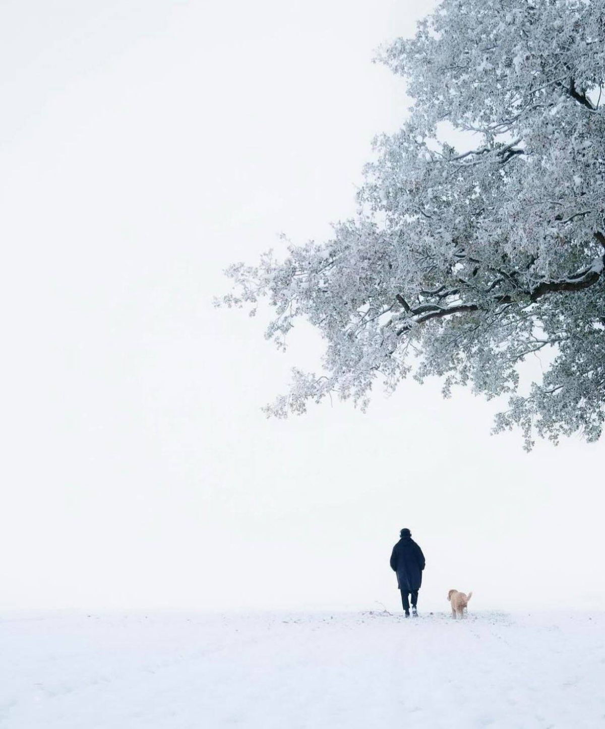 5b6e6308-6d29-4be2-8898-7552e8d831a4