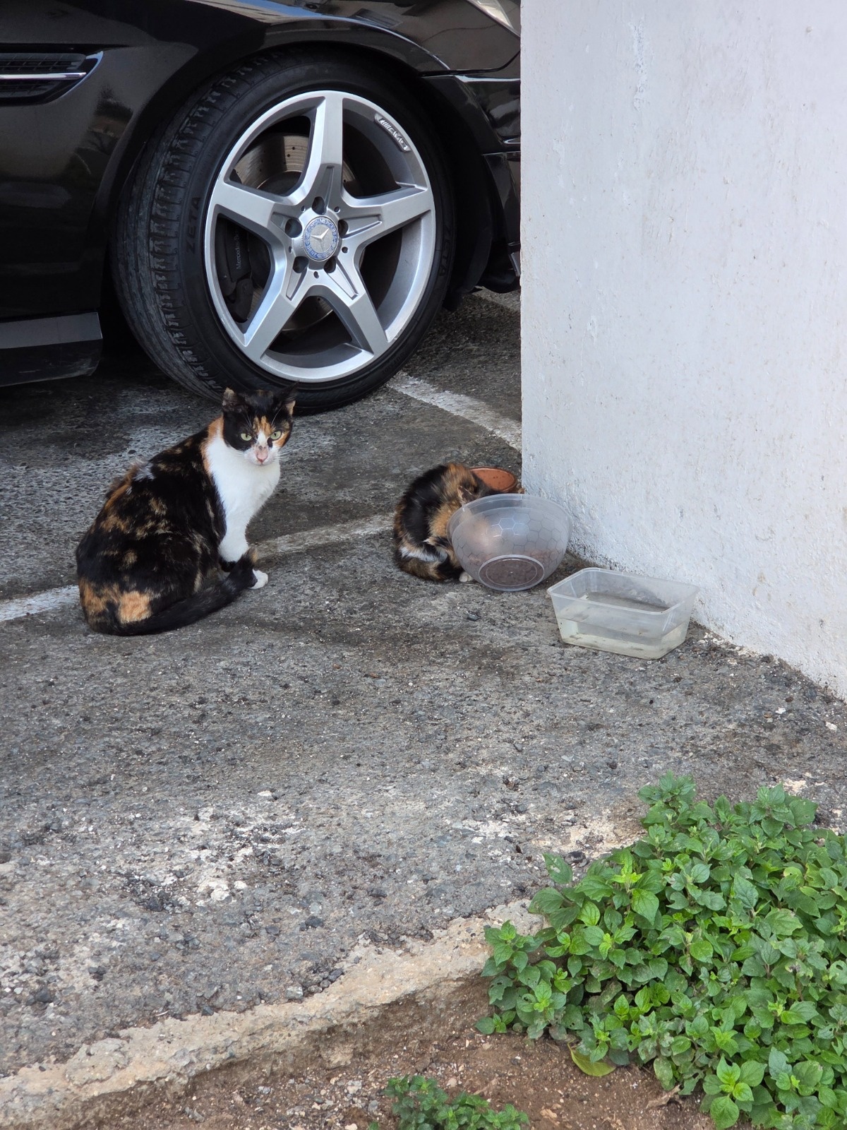 585c2b71-487d-48c9-a07e-c03d790efdf3