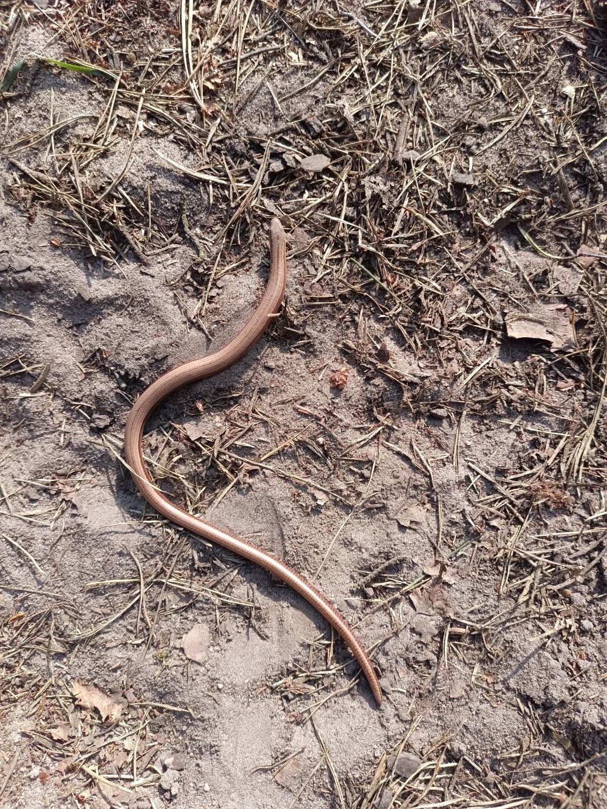 dc89dd4a-0da9-4e75-b4c3-dffeea851b01