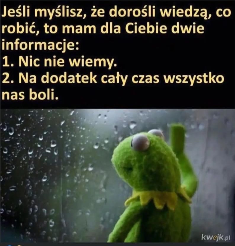 5e360c29-66cc-414f-b6b2-8380f5bc585b