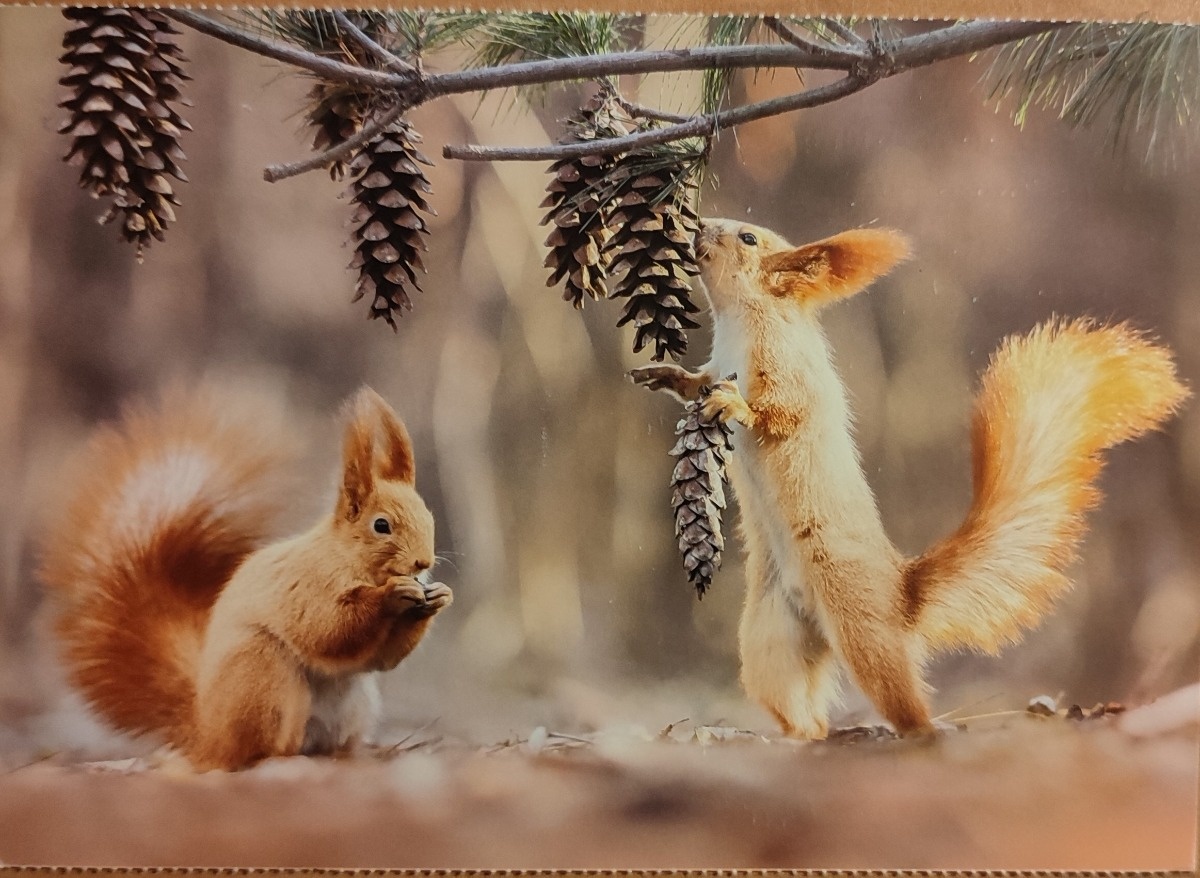 fcb000e7-d734-4bd3-ac85-abaabd82d49e