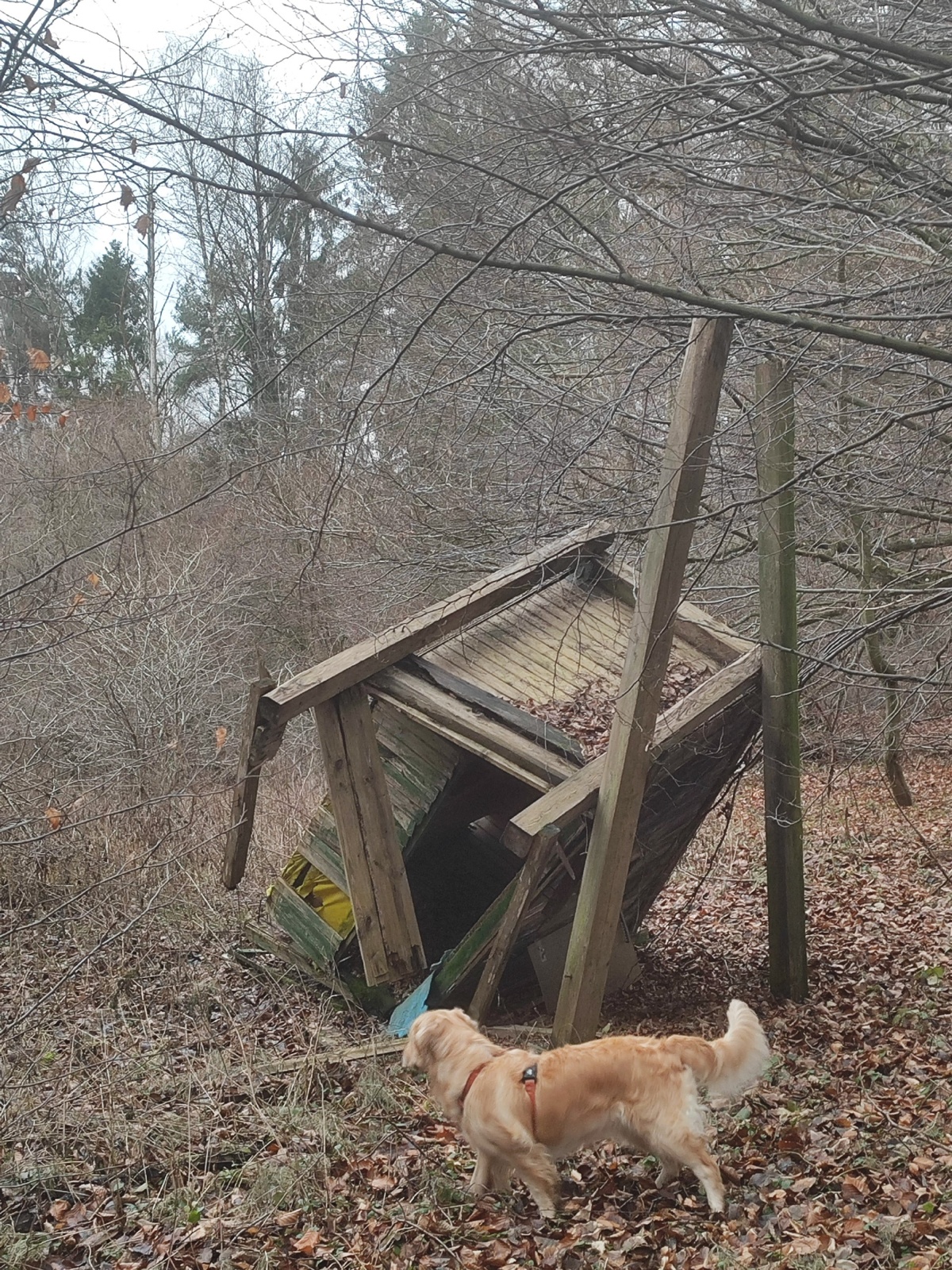 ec3041ce-f7fb-42b3-aba9-690439863886