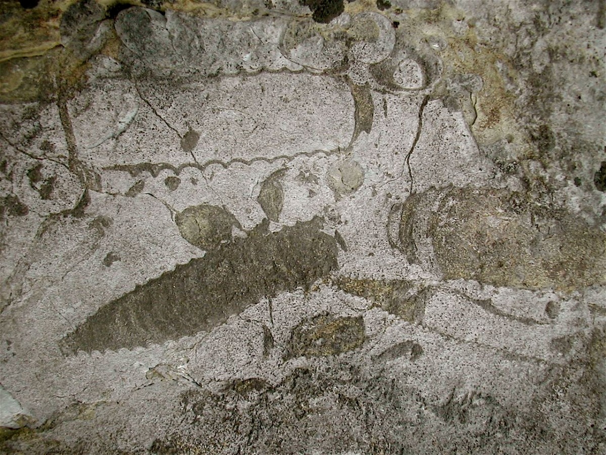 8ecfd5ff-ae5f-4e93-a82b-2968e23715fd