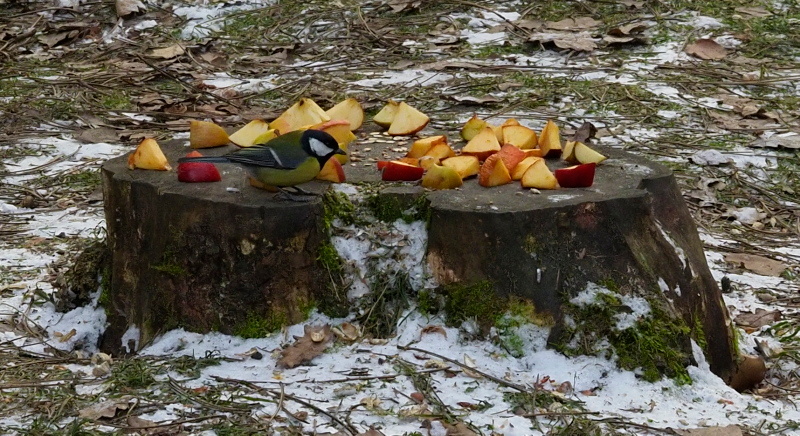 f774d493-12a5-40e5-9d16-816eba3a1651