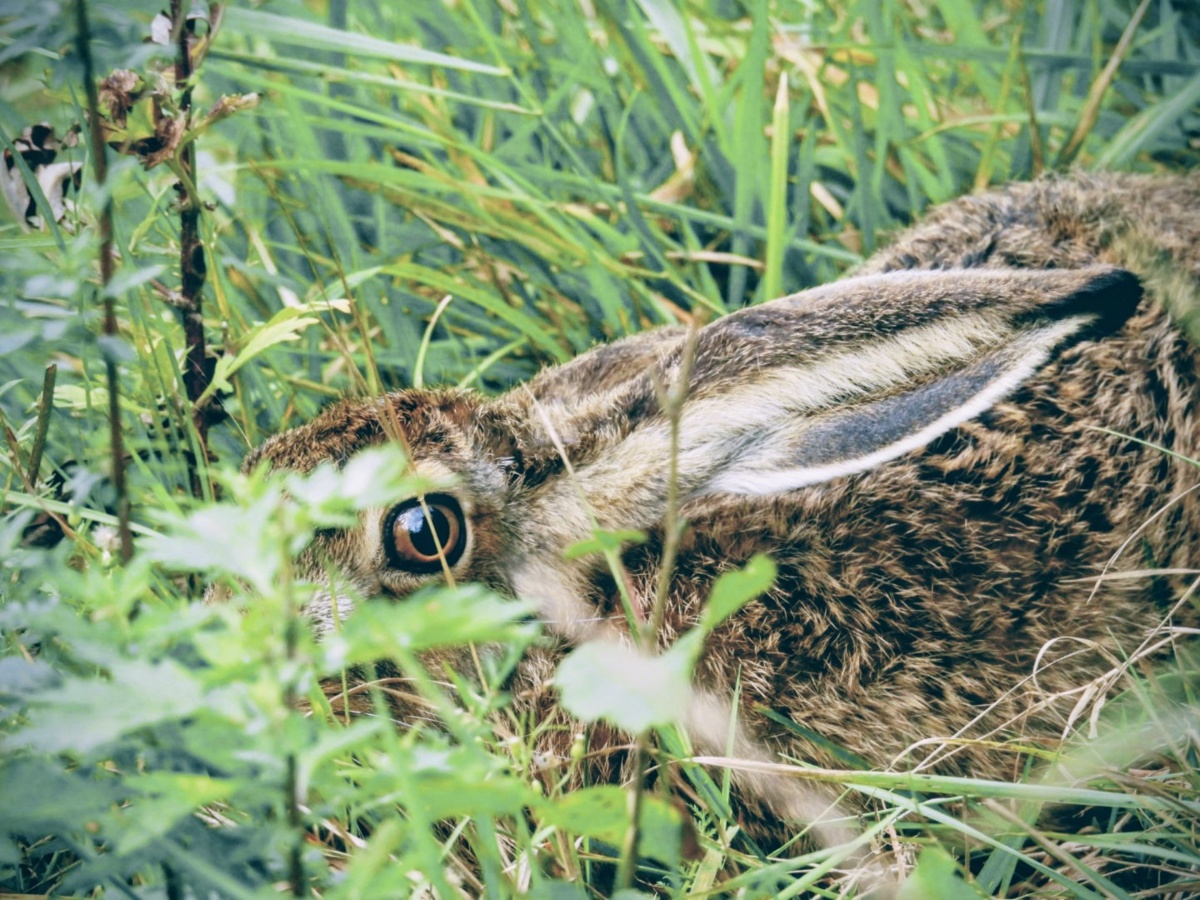 b7e6ea3b-7fc2-4f11-9d76-bc0593777190