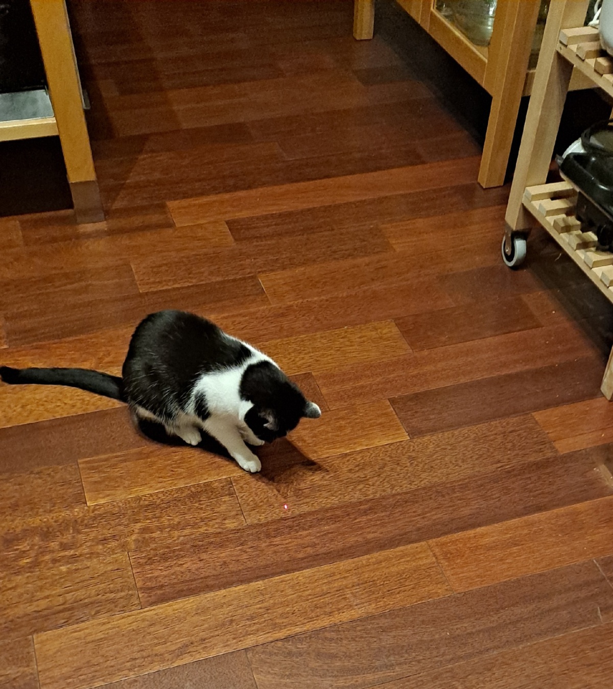 3dbb2baa-1809-4ada-9d4d-4d4cb141a805