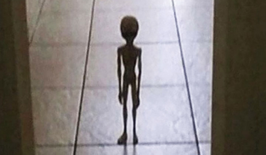 c51fb30f-5f6c-4385-b9b0-e139064e86d8