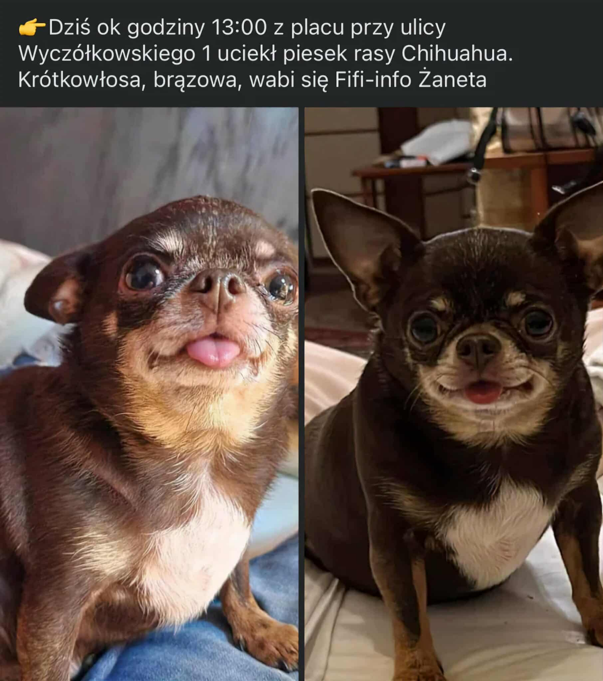 44b88b67-5717-465f-ba93-826549c179ec