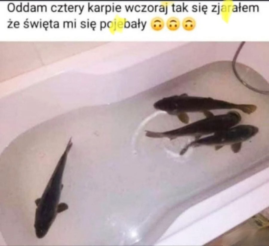 6ca6b3ff-1f64-44d7-a5c2-e5b8e5f5bb1f