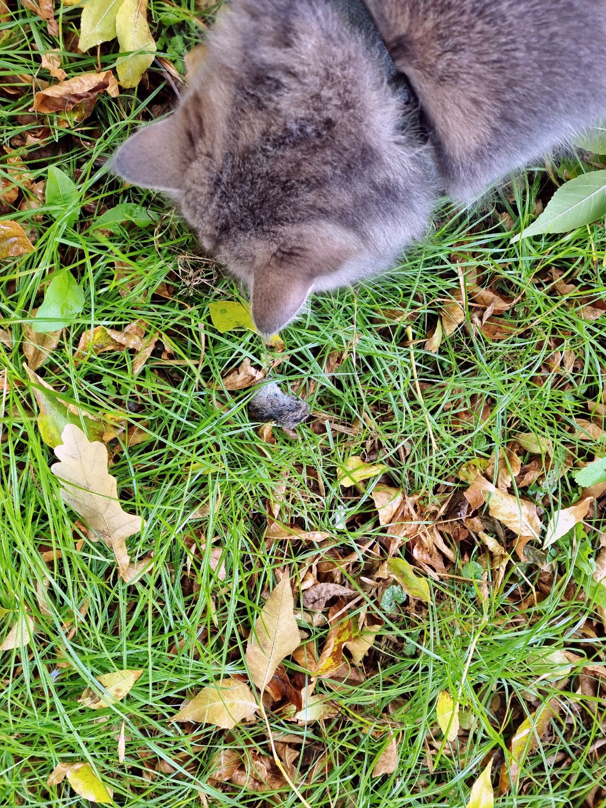 b944628f-4e44-427b-b430-7ecb88e84dab