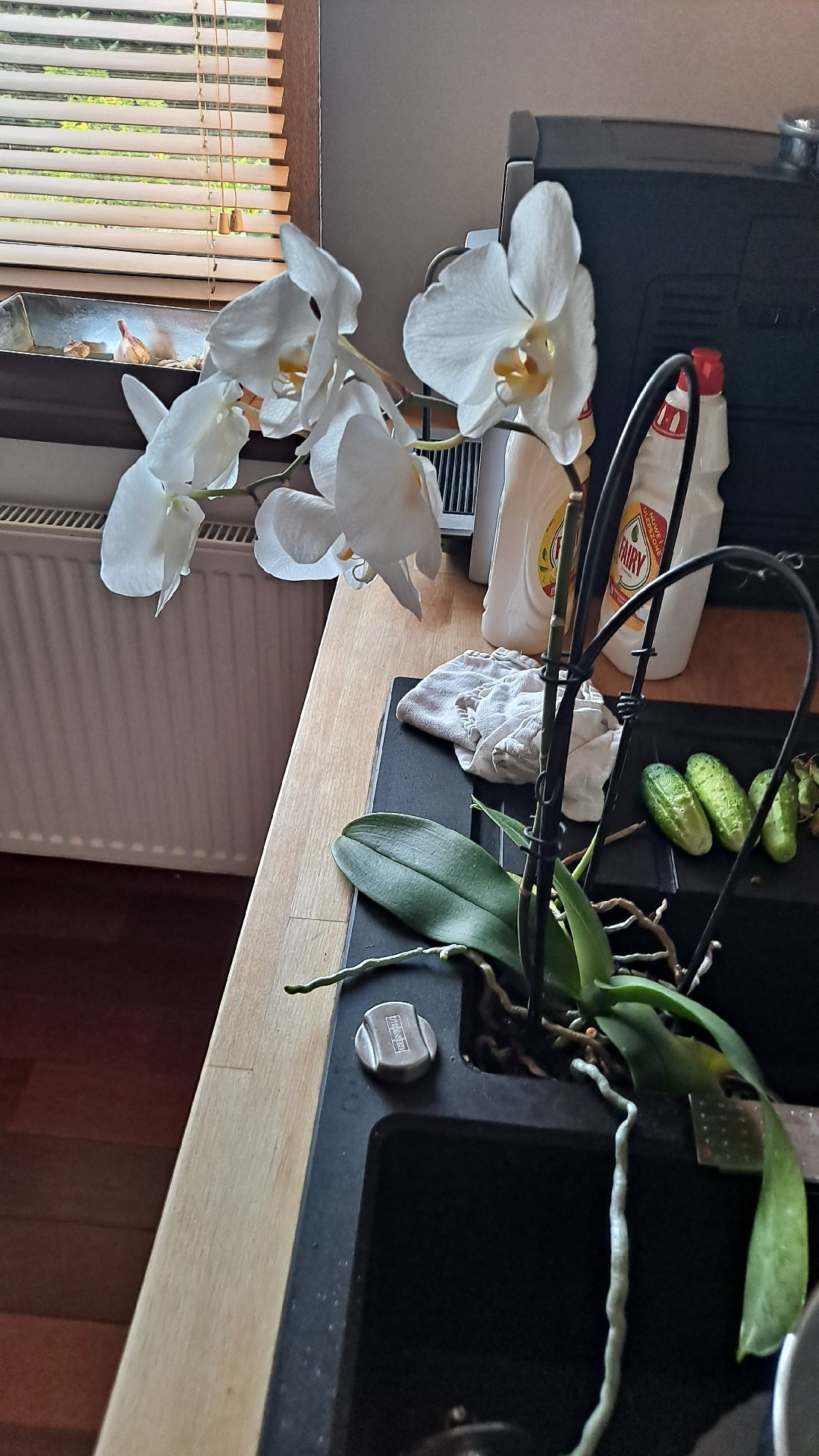 8f0d4696-267c-4afe-87d7-ae69e6225994