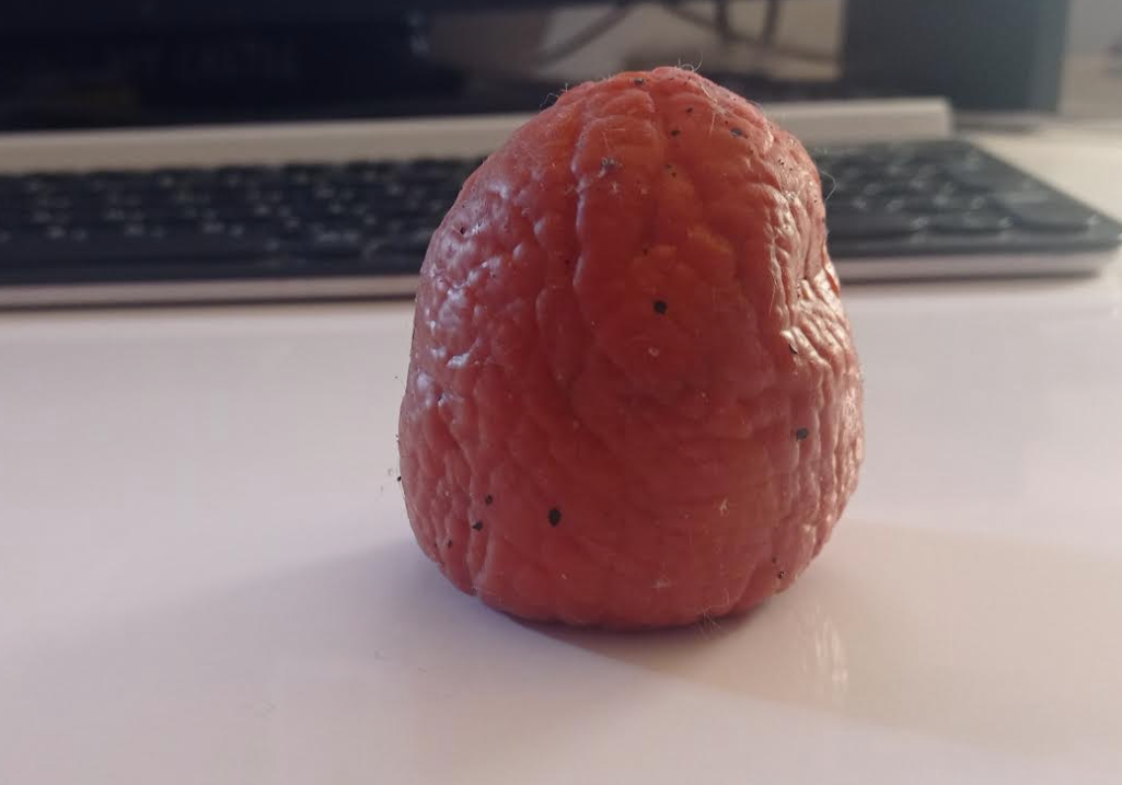 853e12a8-7066-46fe-8c94-129ba7cb6833