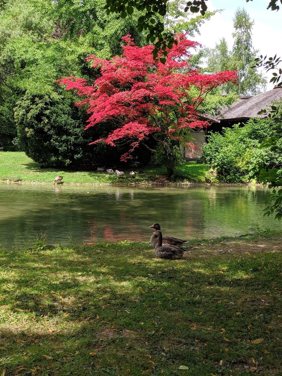 550e146e-6668-413a-a624-fbbeed638e59