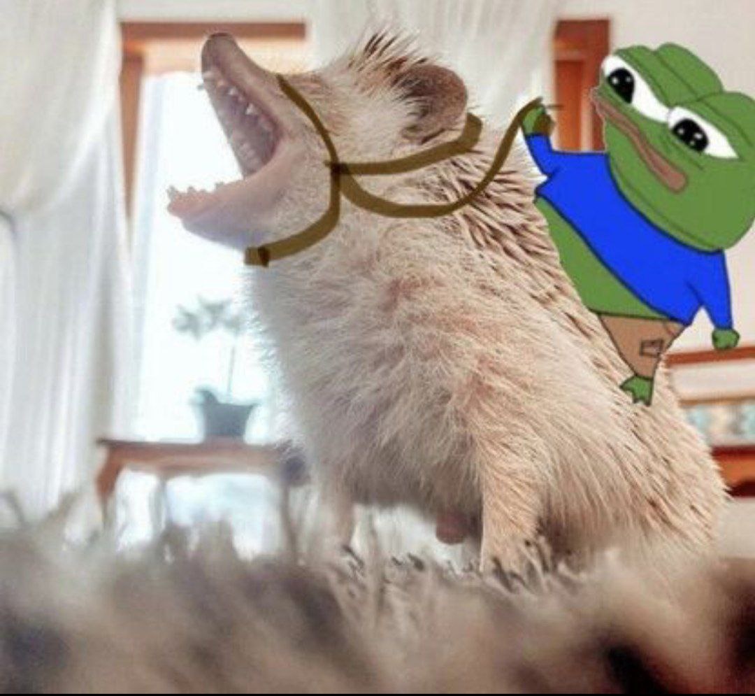 2c07c32d-1763-422a-a52c-935817043847