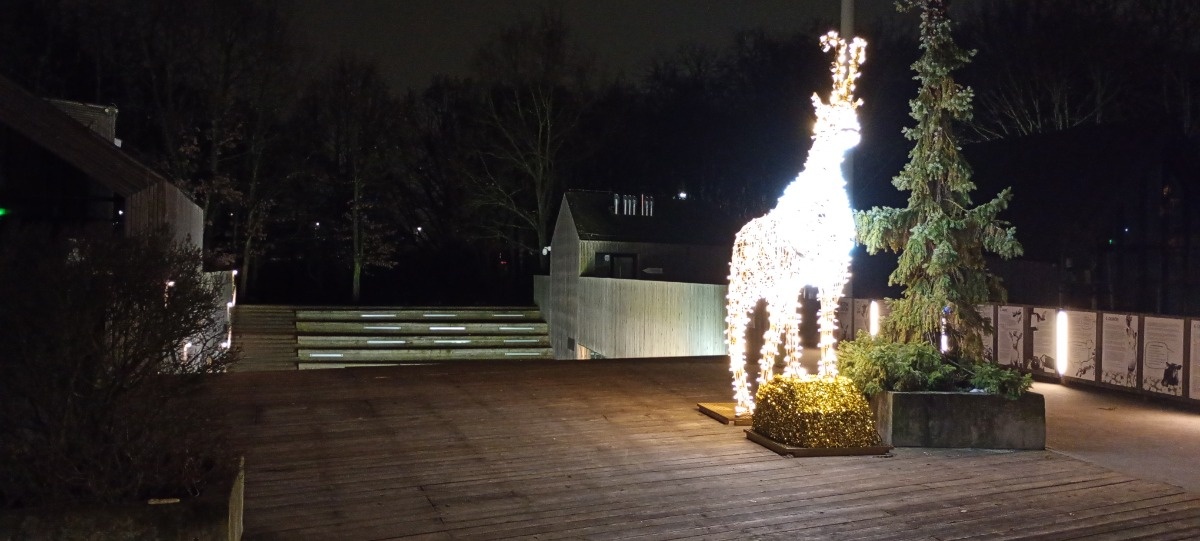 806e35ef-0695-4086-a001-1367a6667763