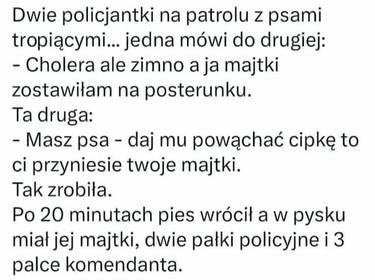 190747c1-275b-474f-a135-2de8255163ee