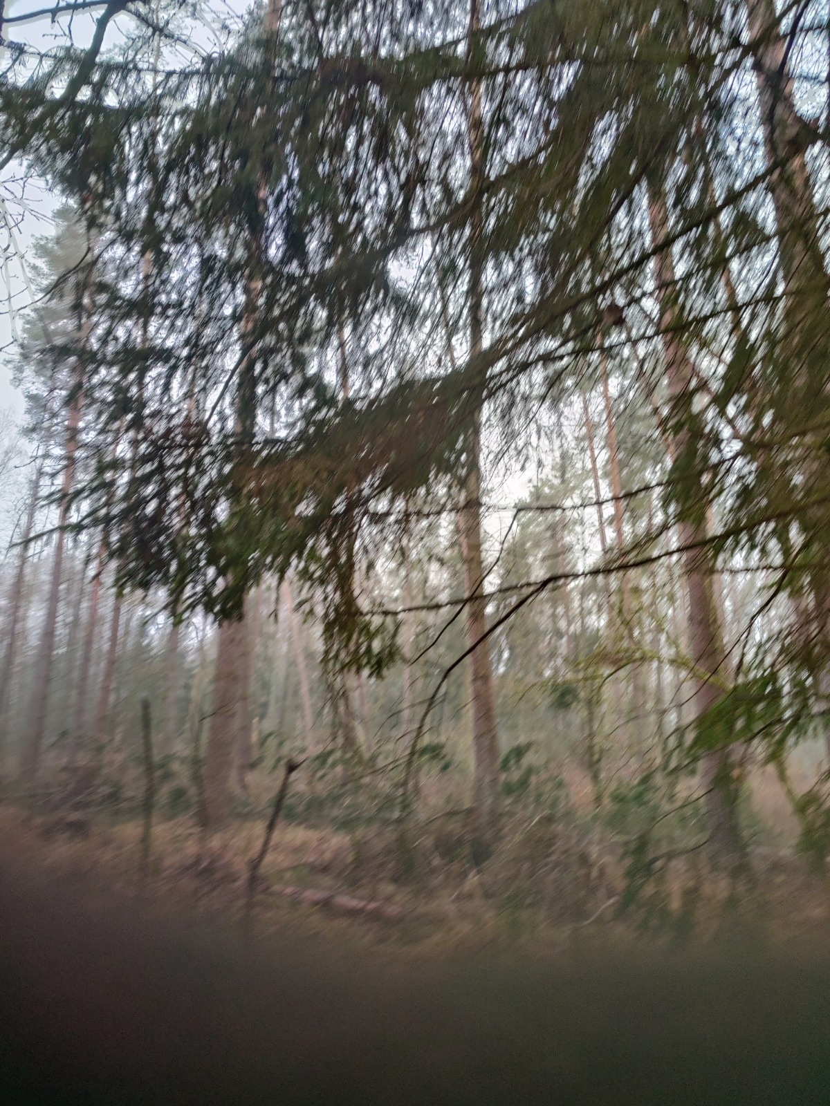 ef3761e7-c6dd-47e4-bdf6-36b16d44cce6