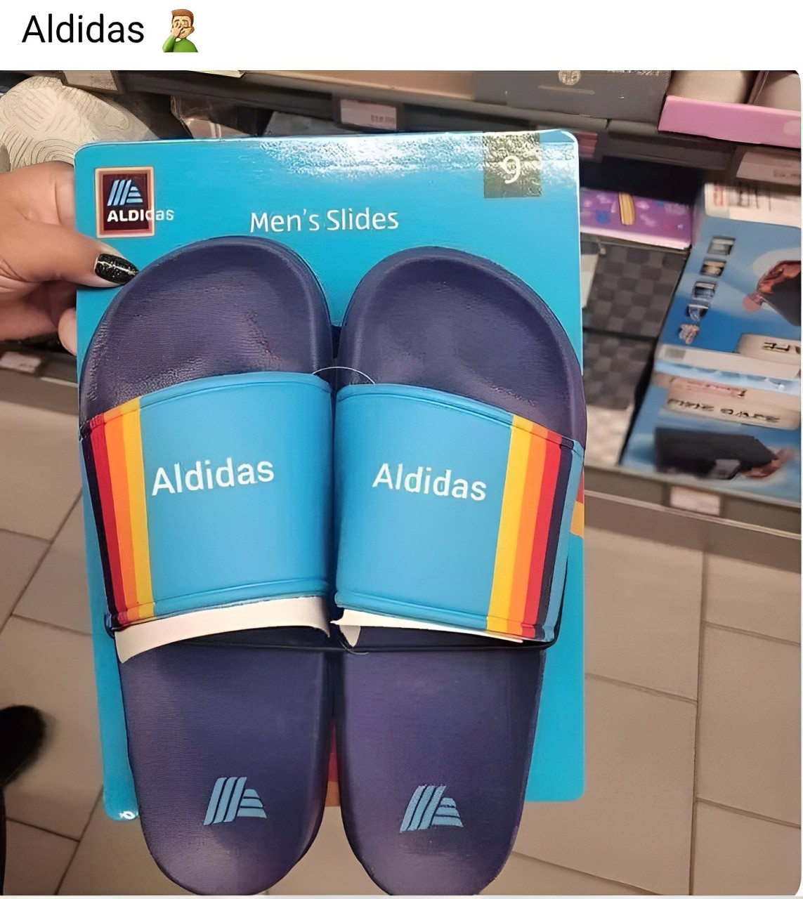 1c48e479-beb0-48d6-9748-f46371bf2fff