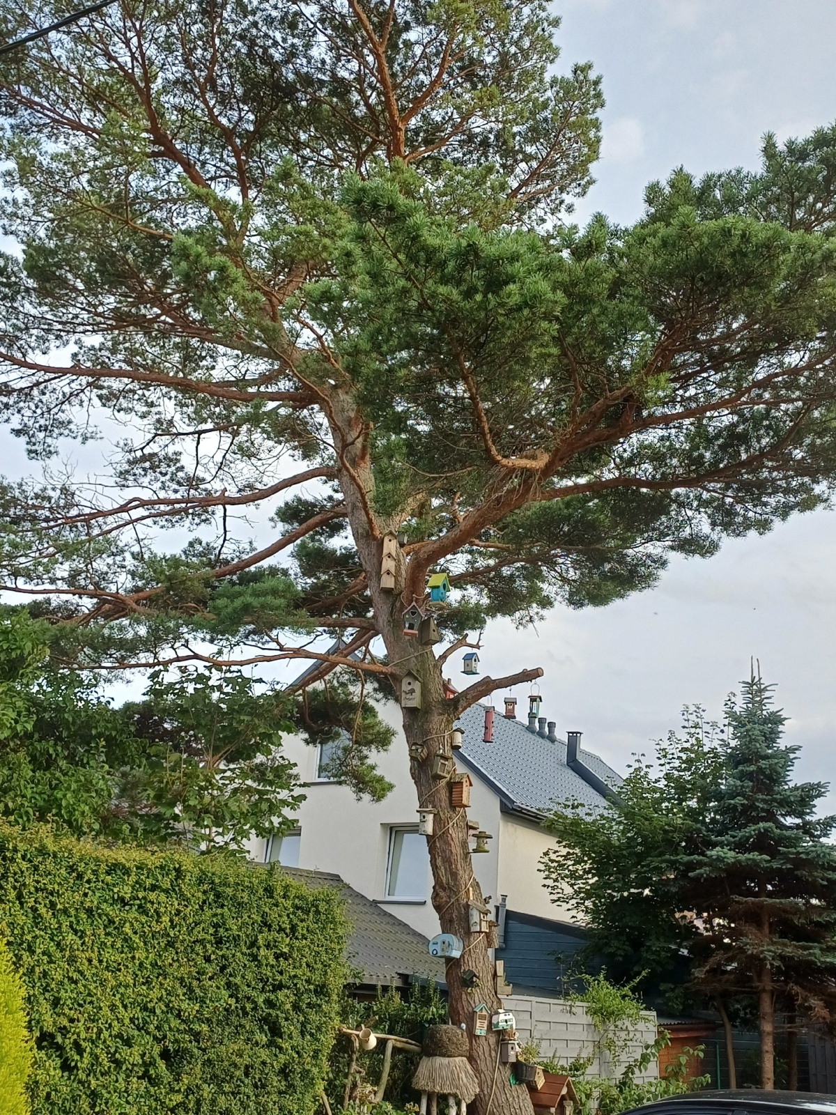 b2f7c864-fe5f-4dc9-9444-3e59f3cb158d