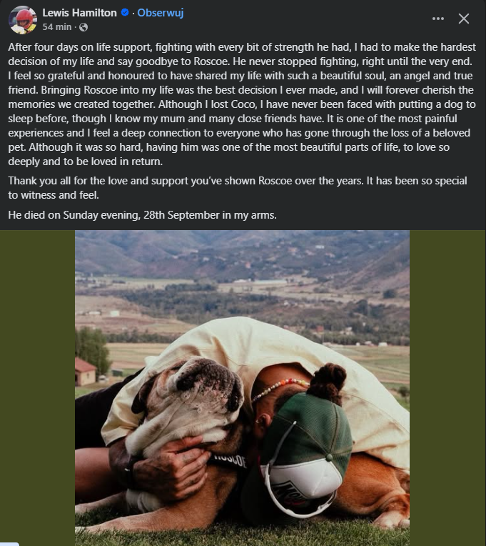 a231f597-47d2-4f59-89d2-86a92090bdcc