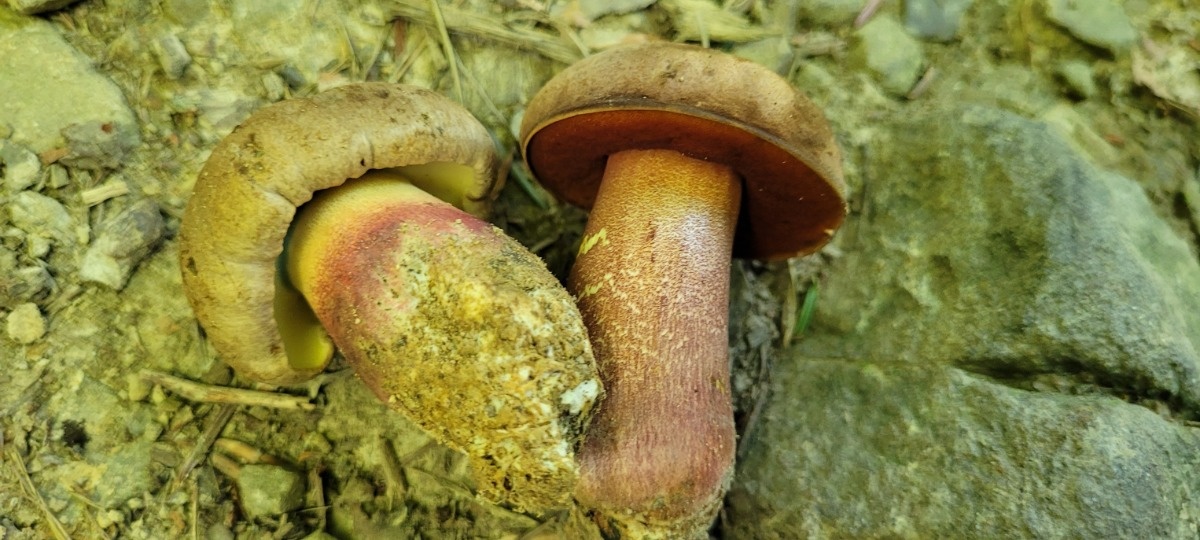 223c0f56-4320-4bc7-83ba-4d8164ee112a