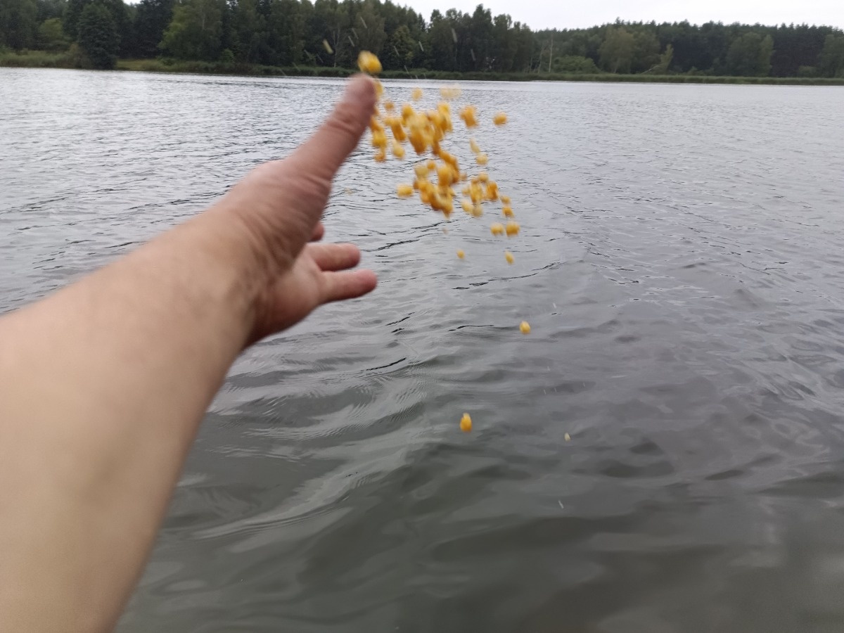 e284afb6-aa90-4300-aa6e-2f010f5b89f5