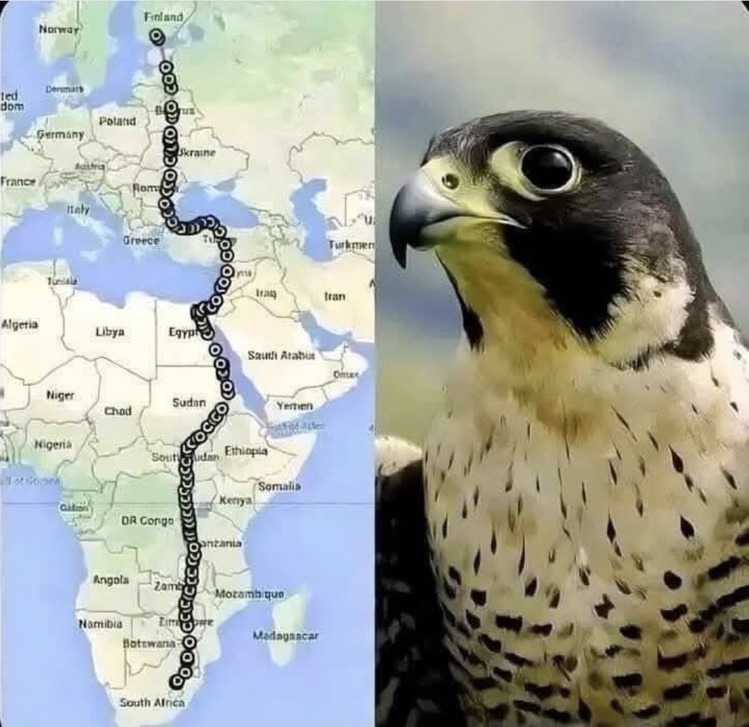 46626e5c-2c9f-49dd-83a2-980c9b5944fc