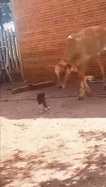 44c87329-a2a7-436c-ab59-85a712cd1496