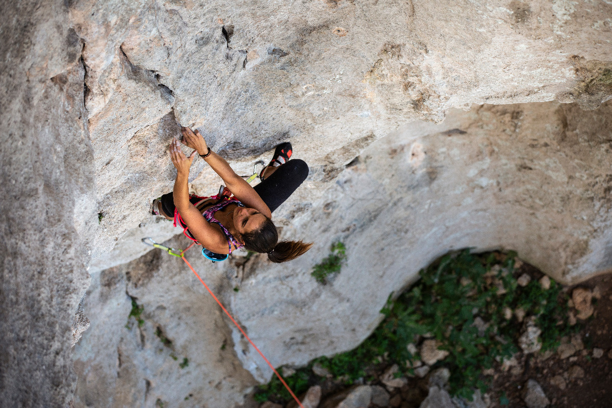 1d56413a-b9c6-45b9-8096-c102026f70fc