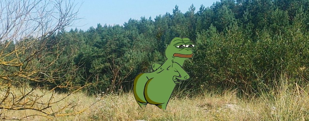 9bf50f40-0afe-420d-a35a-7e92855ea1b2