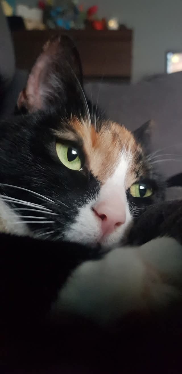 0cf88555-c177-4dff-9aa4-1f91abadecd7