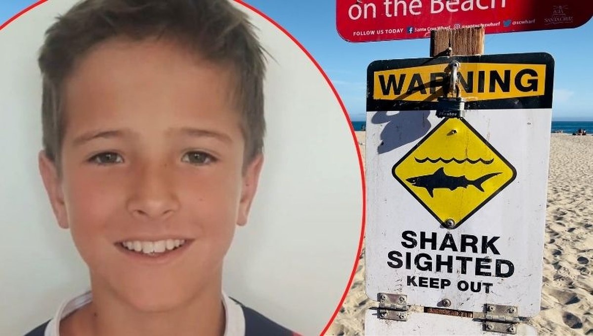 W Sydney zmarł w szpitalu 12-latek zaatakowany przez rekina